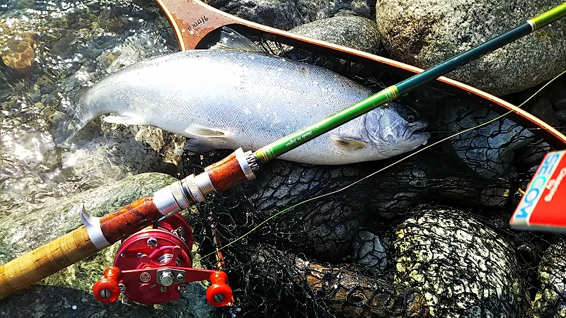 サクラマス　ミウラデザイン　ロッド　カスタムロッド　黒部川　