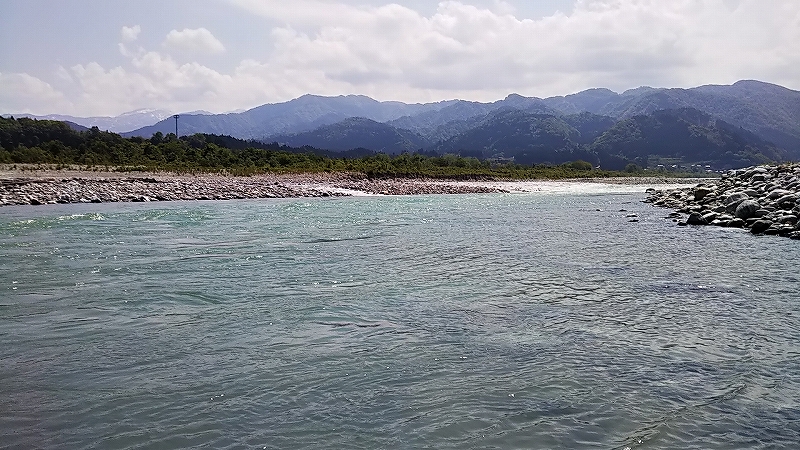 サクラマス　ミウラデザイン