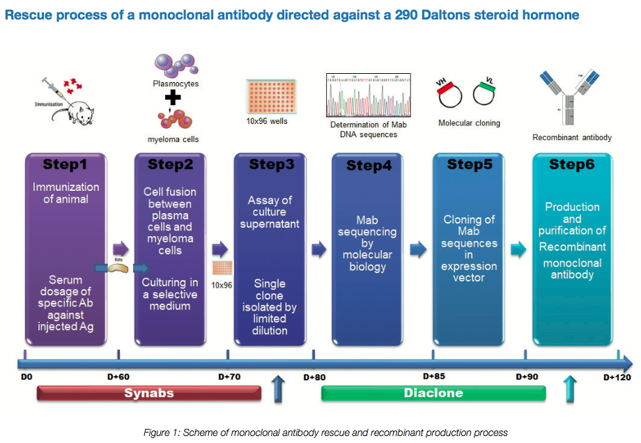 Horiba & SYnAbs partnership Production of monoclonal antibody