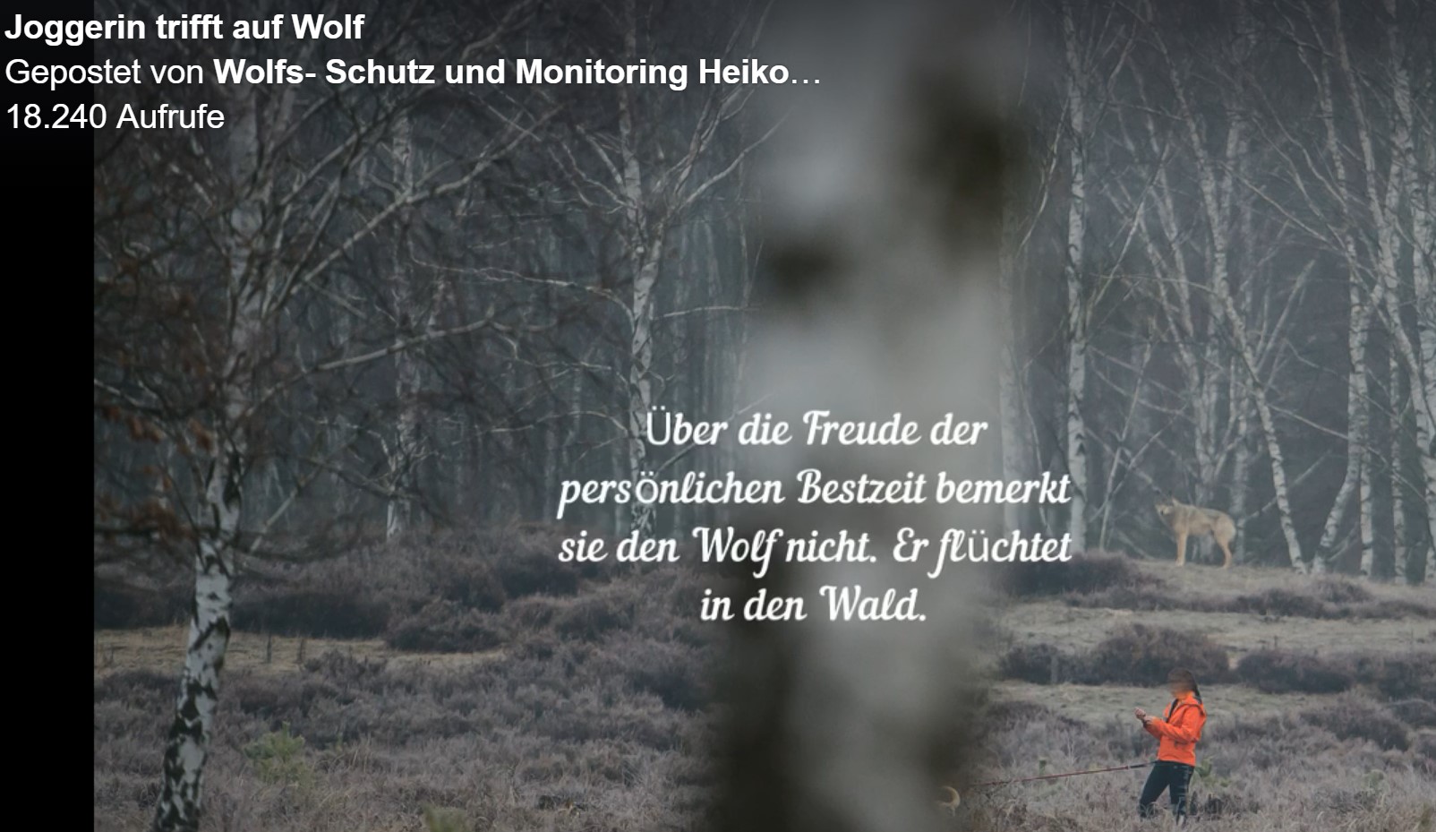 Get Spruch wolf Free