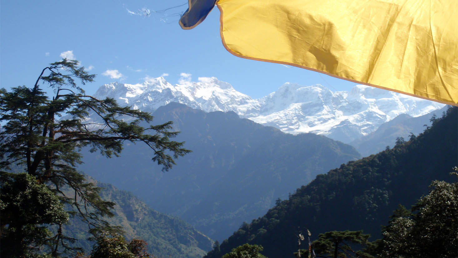 Vue sur la chaîne des Annapurnas