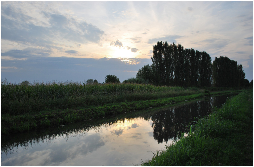 Fleuve Menago vers le bois