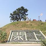 日和山に花を植える活動もしてます