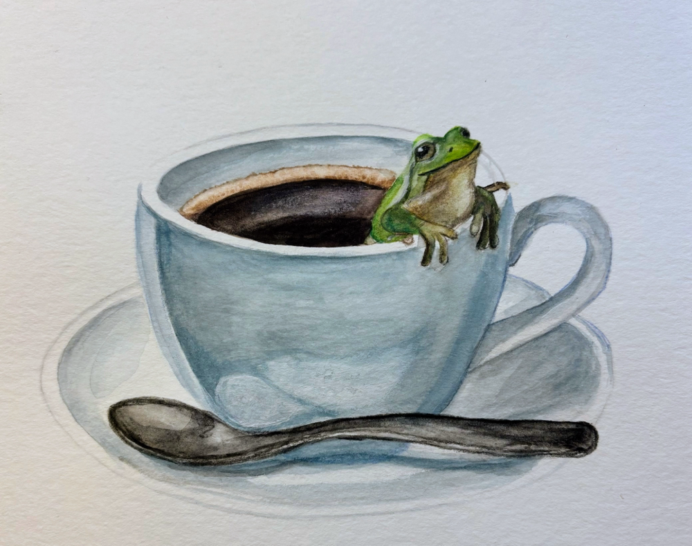Abendkurs - Frosch im Kaffee