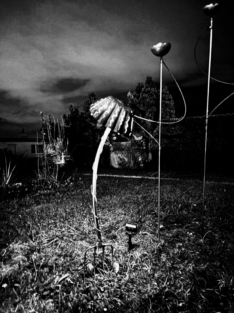 Lampe und Rosenspalier mit Insektentränke