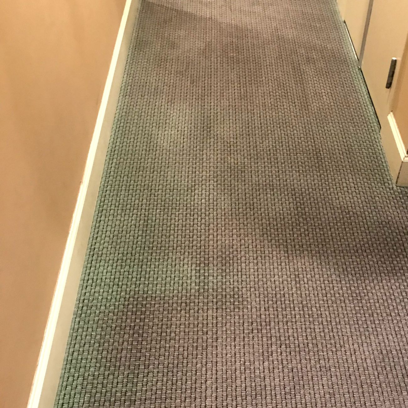 Help! Cleaning Company Bleached My Carpet! In Tampa, FL