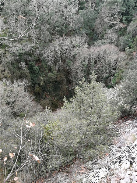 Gouffre d'Espelugues
