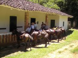 QUE HACER?  Ecoturismo, Agroturismo, visitas a fincas  paneleras y cafeteras de la región, estudiantes y empresarios