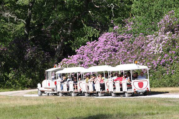 le petit train de la visite...