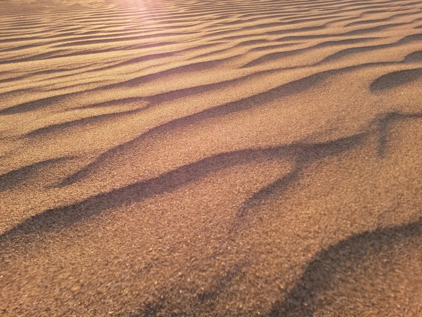 De White sand dunes gelegen in Mui Né, Vietnam.