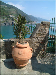 Uitzicht vanaf een terras op Monterosso. De laatste in de rij van 5 gelegen dorpen in de rotswanden aan de Zuidwestkust van Italië.