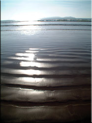 Ondanks dat er op het strand vaak een stevige wind waait is het een heerlijke plek voor een ontspannen wandeling (zeker in de winter) langs het water.