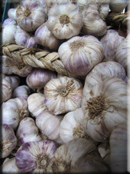 Op de markt van Sarlat worden heel veel producten van locale makelij aangeboden. Knoflook kan op de Franse markt uiteraard niet uitblijven.