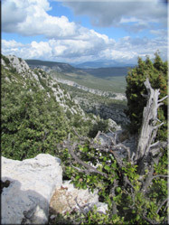 Uitzicht in de Gorges