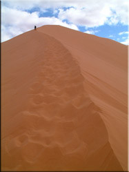 Eén van de hoge duinen in de Erg Chebbi woestijn die tot wel 150 m. hoog kunnen zijn. Een zonsopgang of -ondergang hier bekijken is een echte aanrader.