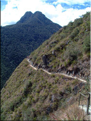 Eén van de paden van de Inca Trail. Een tocht met werkelijk prachtige vergezichten en zeer zeker de moeite om eens een keer te lopen.