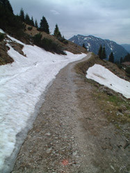 Een drie uur durende afdaling van de 1670 m. hoge Rauschberg bij het plaatsje Ruhpolding is zeker de moeite waard voor de actieve wandelaar. 