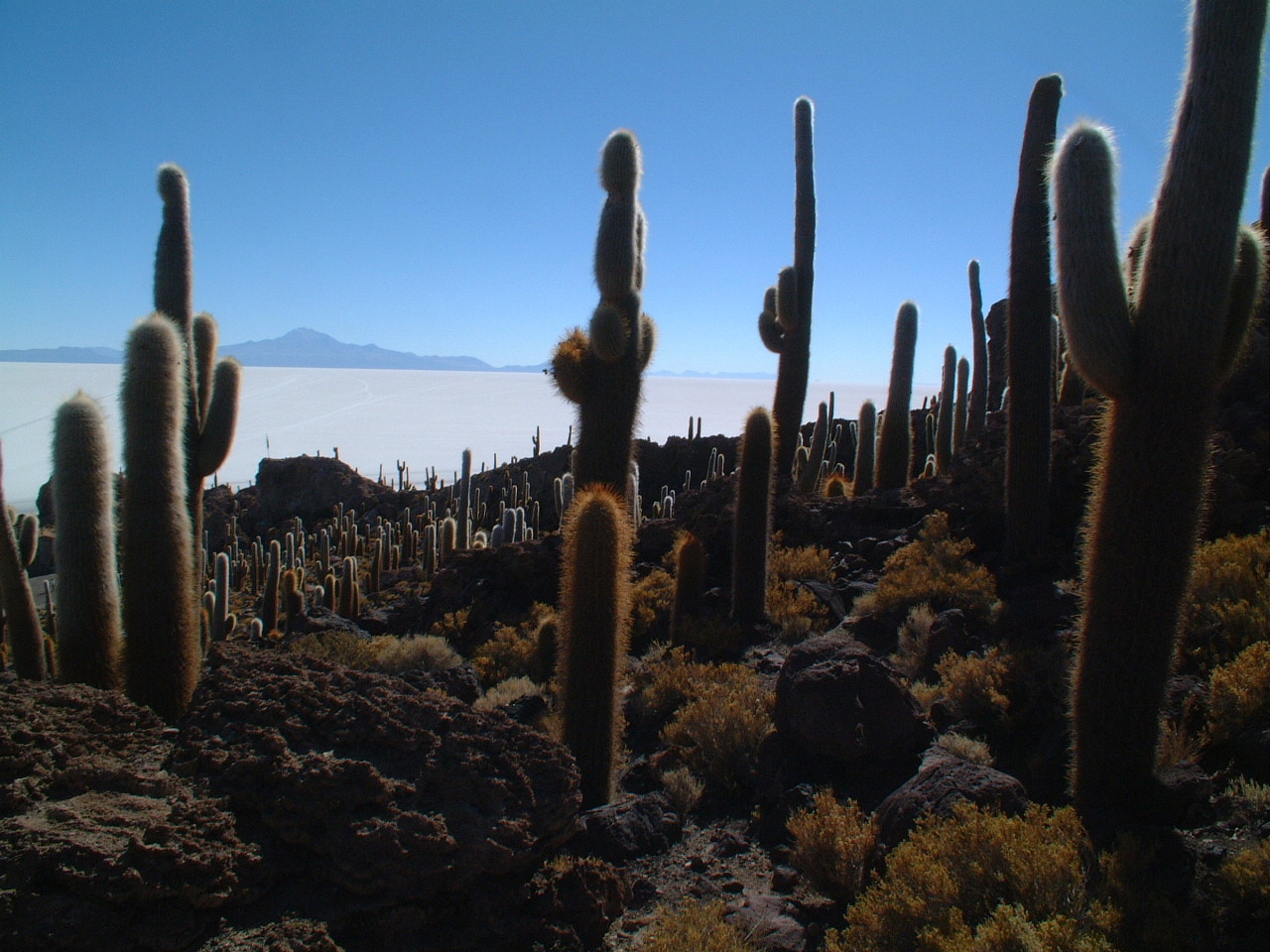 Uitkijk vanaf Inca Wasi op de zoutmeren van Bolivia.