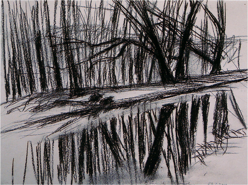 Spiegelung 30x40cm
