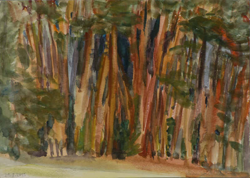 Kiefernwald Aquarell 20,8x29,5cm