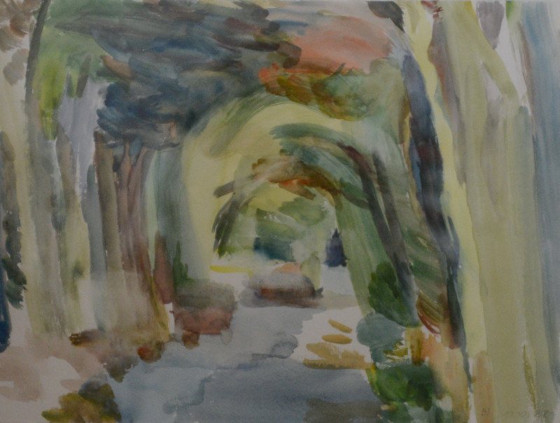 Lichtvolle Lindenallee 30x40cm