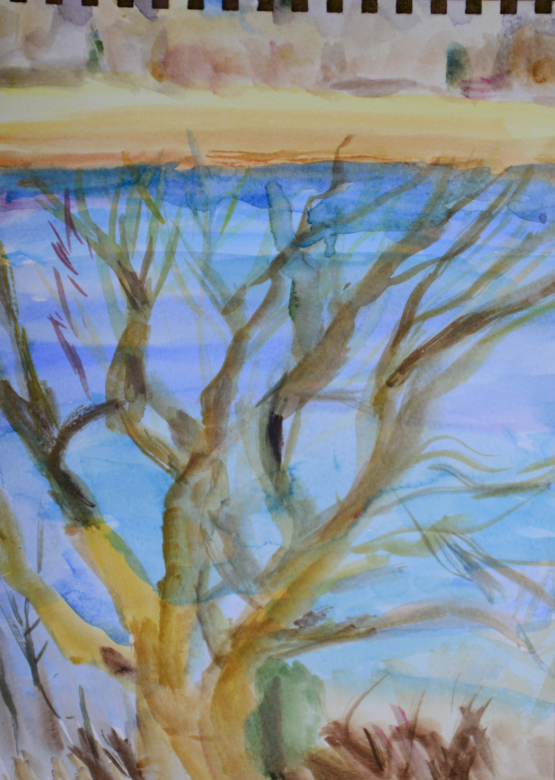 Baum vor Wasser