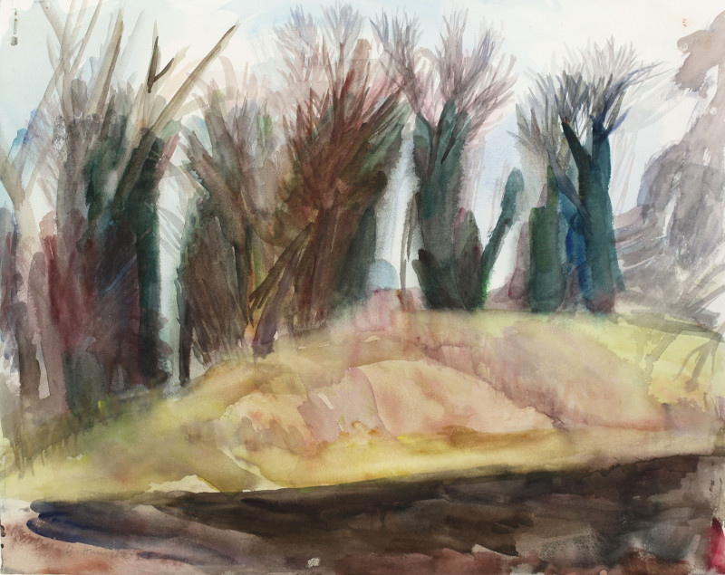 Der Hügel 50x60cm 