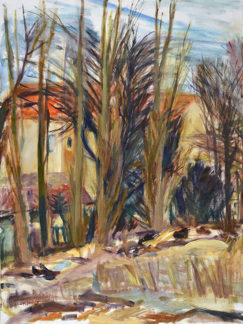 Hinterm Atelier Öl auf Leinwand 80x60cm 