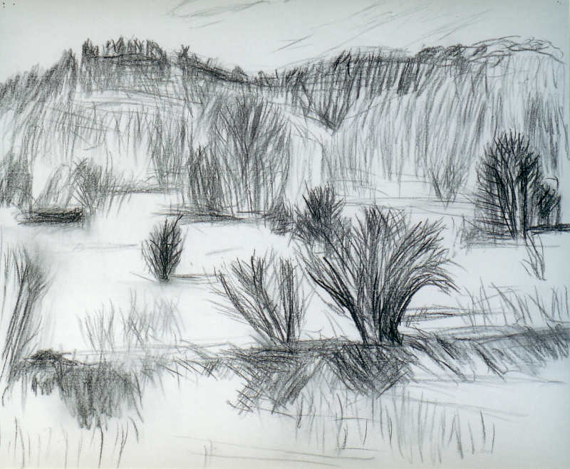 Stecherschleuser Blick 49x59cm