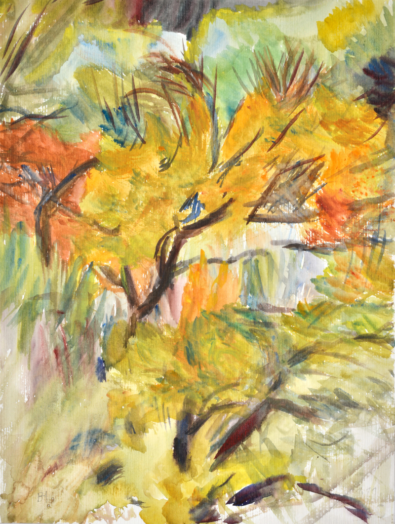 Drewitzer Herbst