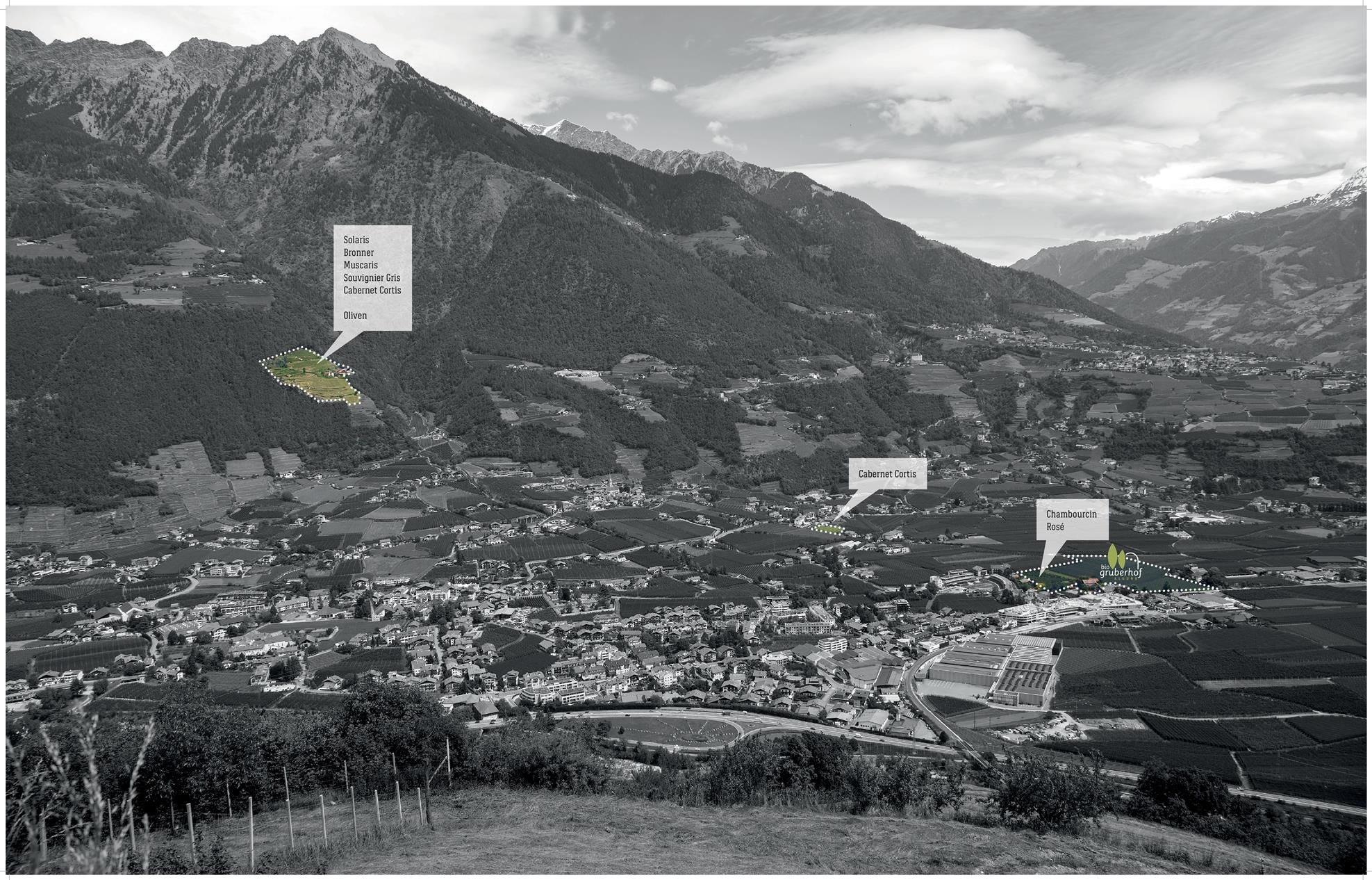 Hofladen - gruber-hof.net