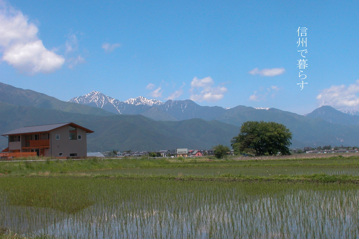 2008　三郷の家Ⅰ｜住宅