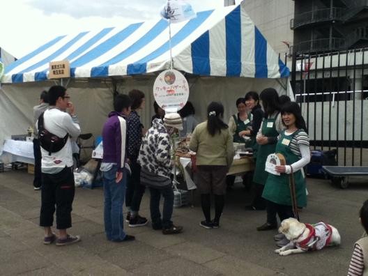 盲導犬アニーも活躍