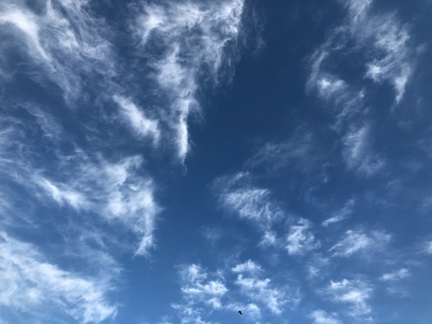 こころに いつも空を　空をこころに　soracocoro奈良