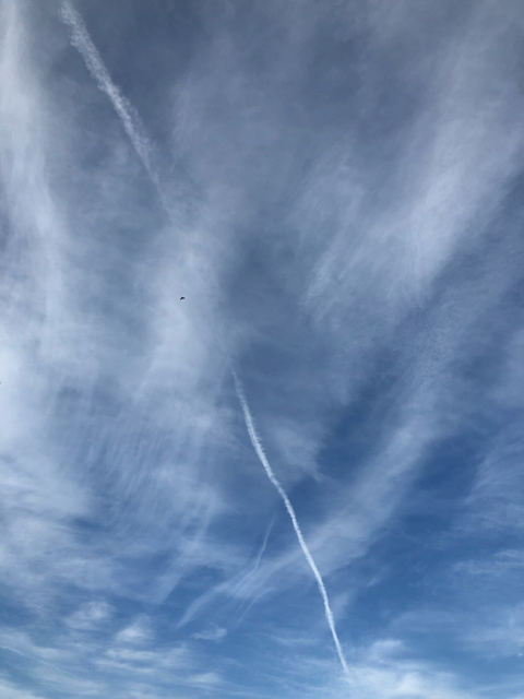 こころに いつも空を　空をこころに　soracocoro奈良