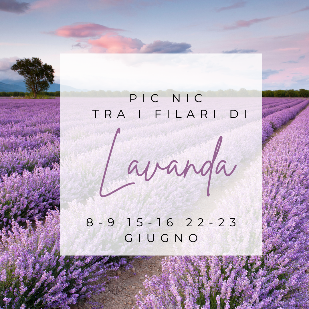 Pic Nic tra i filari di LAVANDA - Giugno 2024