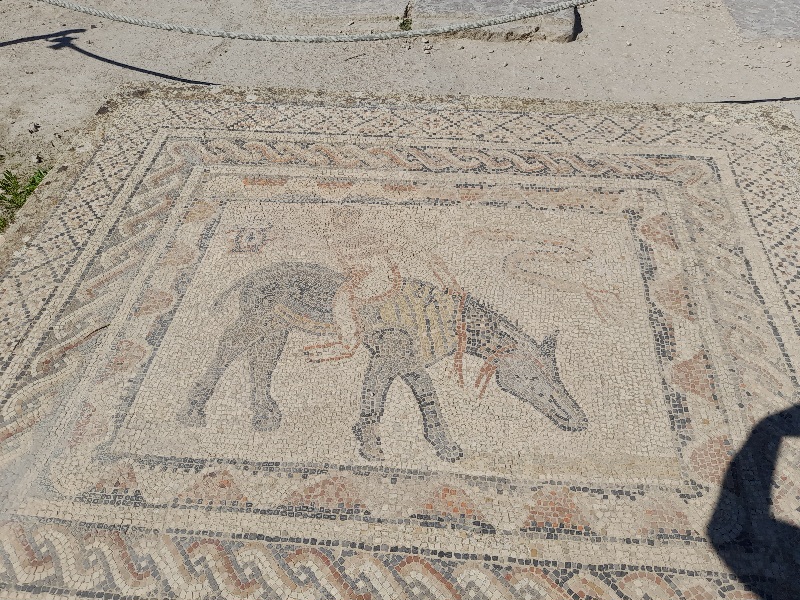 Das Mosaik des Akrobaten 