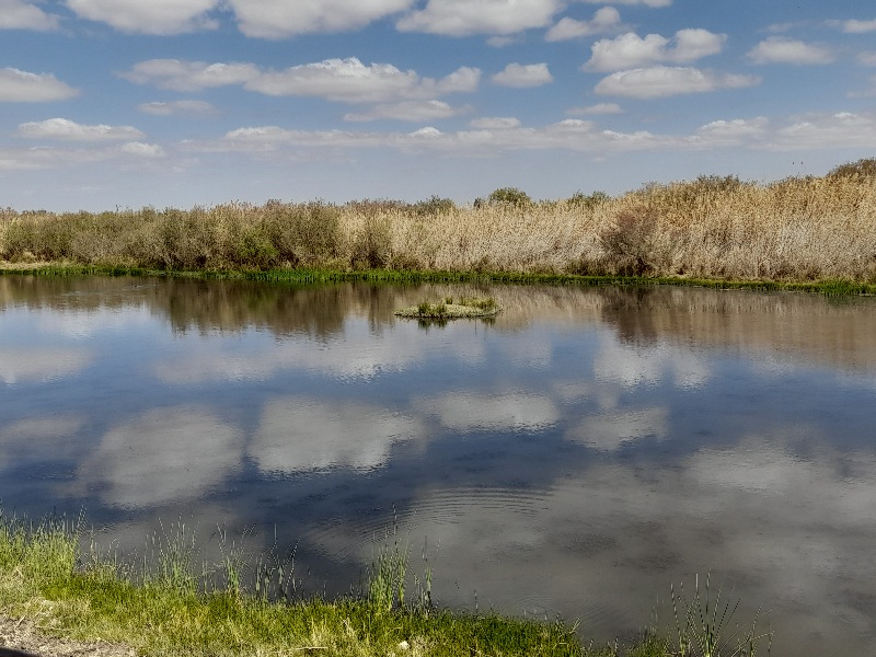 Mittagspause haben wir im Azraq Wetland Reserve gemacht 