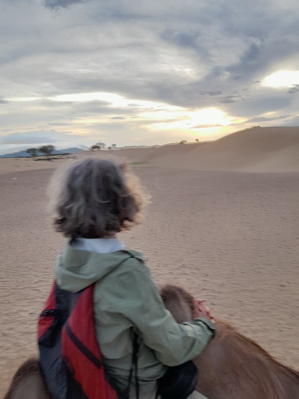 Kamelritt in den Dünen zum Sonnenuntergang 