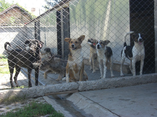 Bono mit Felice, Chloe, Zak