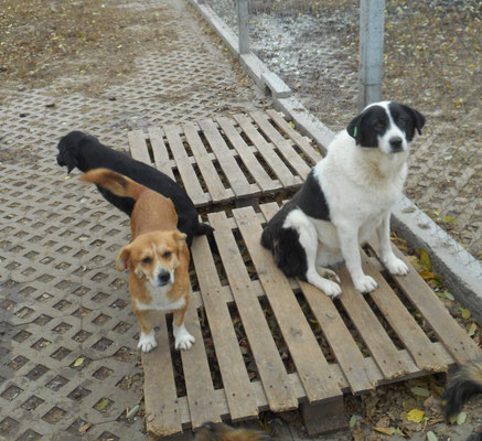 Tabea mit Liza