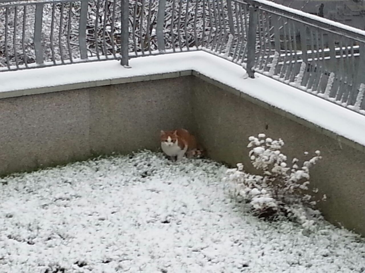der erste Schnee am 27.12.