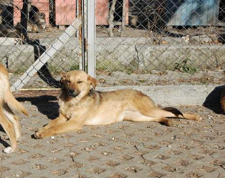 Marnie nimmt ein Sonnenbad