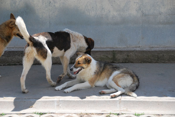 Zak und Chloe