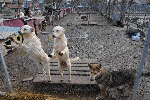 Lou, Leslie und Berti