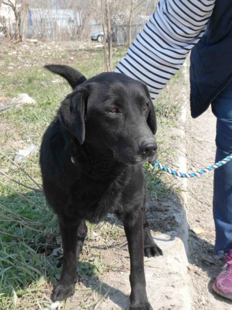 Catalina (weibl., geb. ca. November 2017) - mag uns Menschen total und