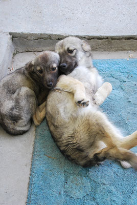 Mila mit ihrem großen Bruder Miro