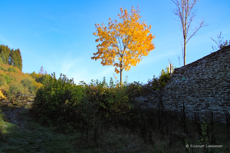 Schlossruine Isenburg