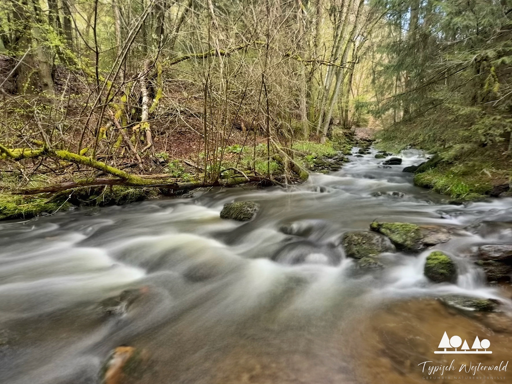 W3 – Spannend schönes Buchhellertal: Wenn der Westerwald zeigt, was er kann