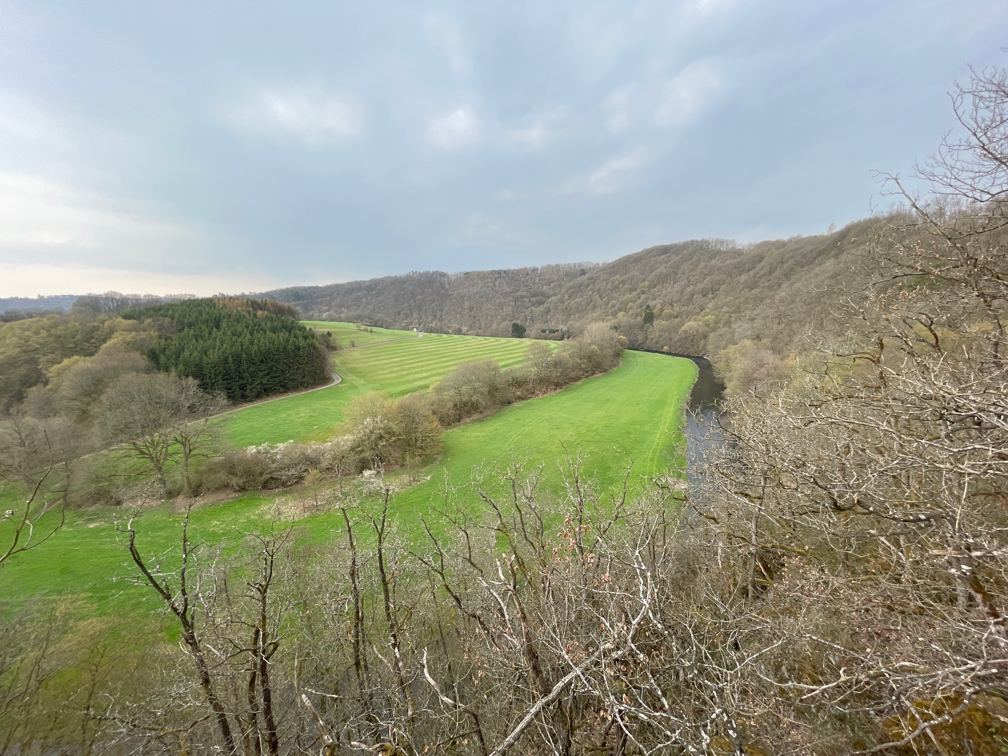 Nur Natur das tut gut, toller Pfad! Peter Scherer, 21.04.2021 11:23
